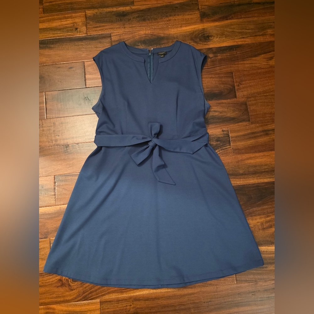 Ann Taylor Factory Blue Tie-Waist Mini Dress